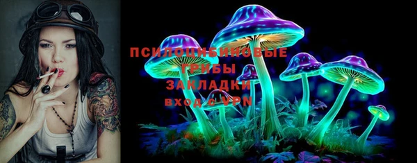 jwh Гусев
