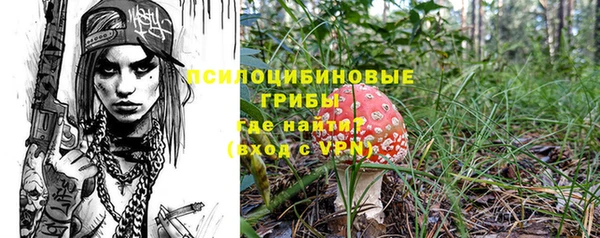 ALPHA-PVP Гусиноозёрск