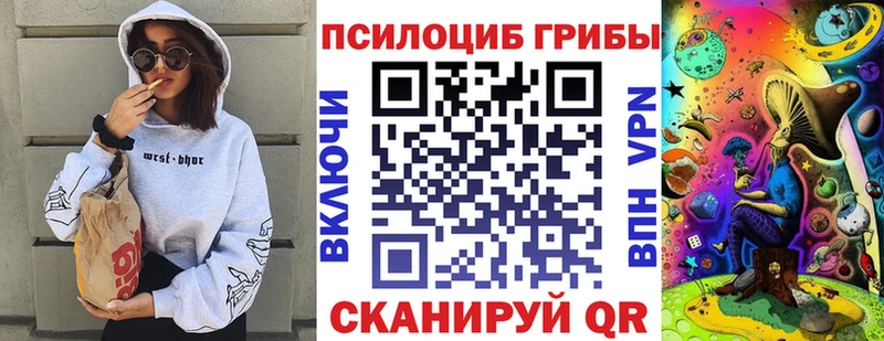Псилоцибиновые грибы Psilocybe  omg ССЫЛКА  Иланский  магазин продажи  